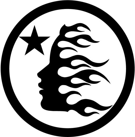 Fake Hellstar brand logo for https://chan-sneaker.com/